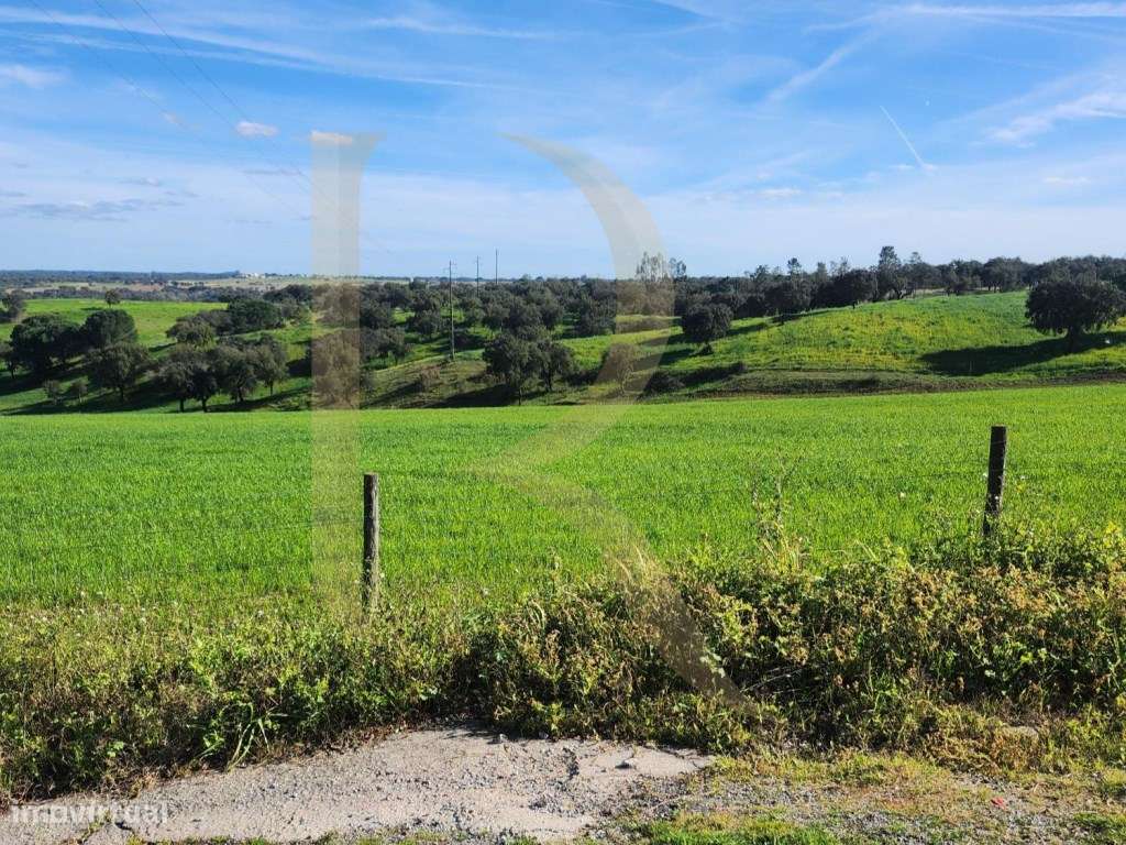 Moradia T3 transformada em T2 com Garagem, inserida num terreno de ...-27