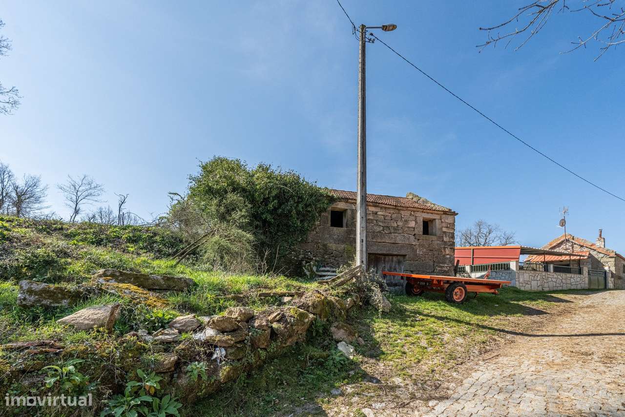 Terreno para construção – Currais, Reigoso, Montalegre-17