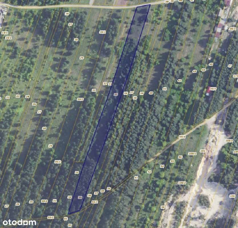 Działka w Józefowie - Pełny obrazek: 2/2