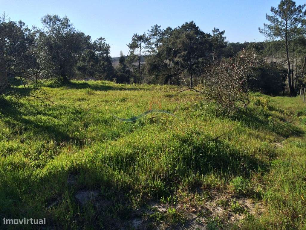 Terreno - Monte Redondo - Grande imagem: 4/6