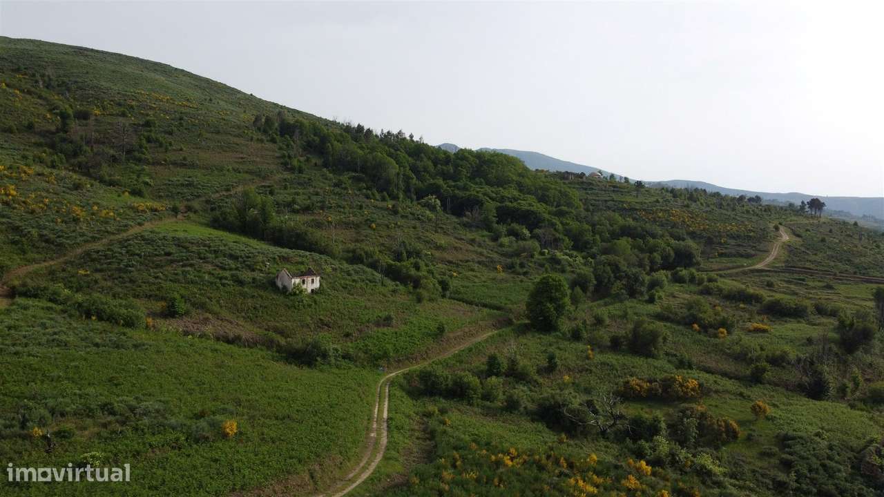 Quinta T0 Venda em Figueiró da Serra e Freixo da Serra,Gouveia-8