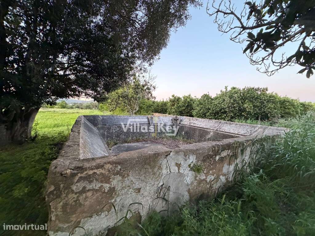 Terreno rústico com terra fértil para agricultura, tanque,nora,bons...-7