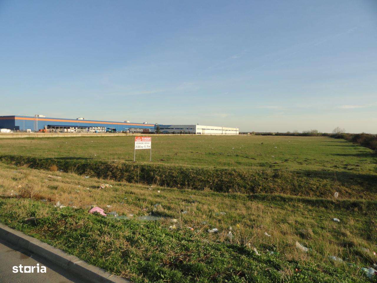 Teren 25000 mp vis-a-vis de Expo Arad - Imagine principală: 2/8