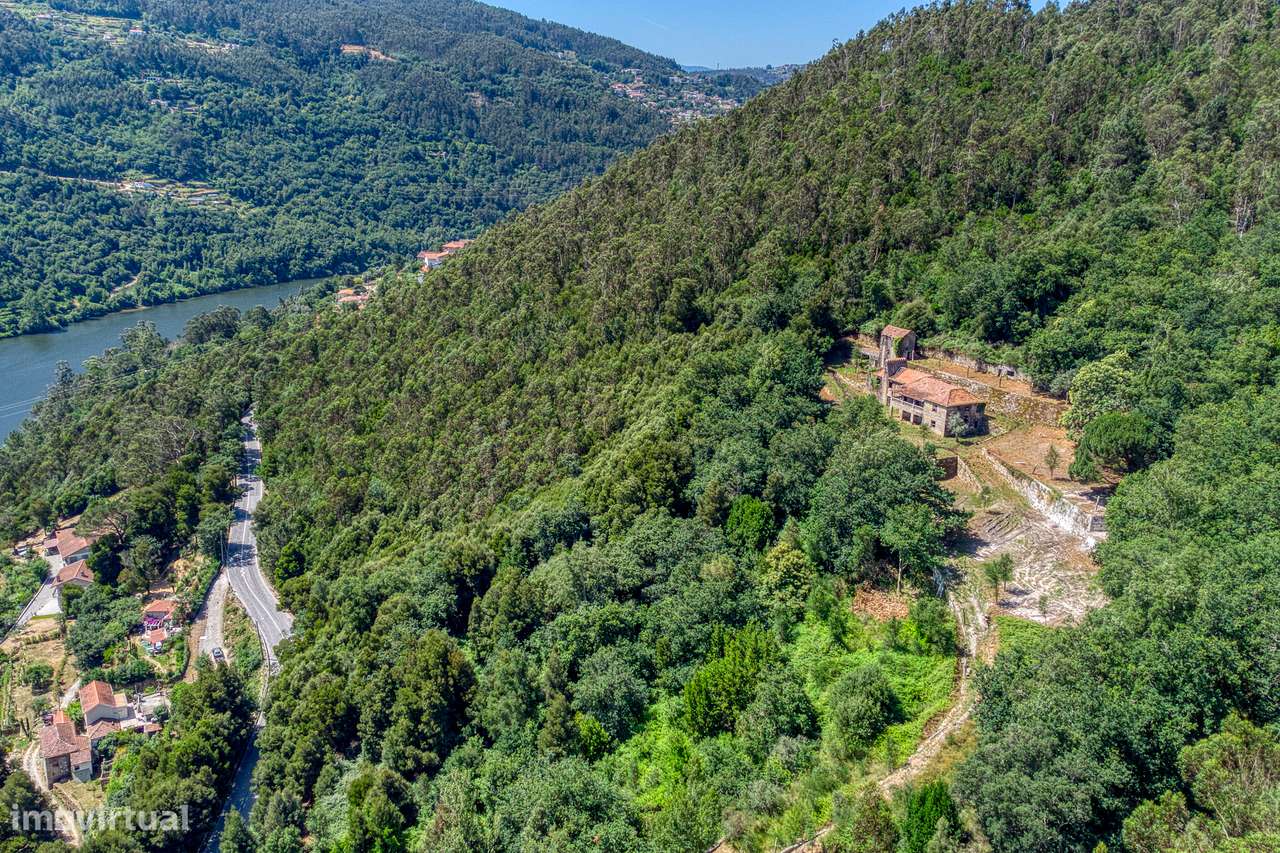 QUINTA NO VALE DO DOURO - 2 CASAS EM PEDRA, 11 HECTARES DE TERRENO-18