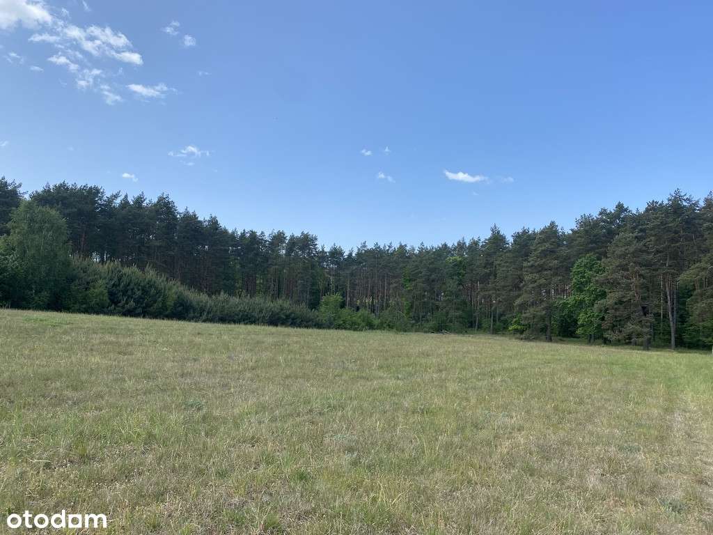 Działka na sprzedaż Przybiernów tuż przy lesie.-2
