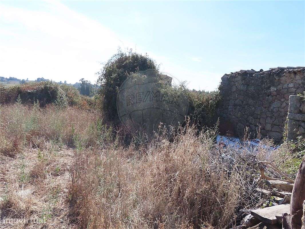 Quinta  para venda-47