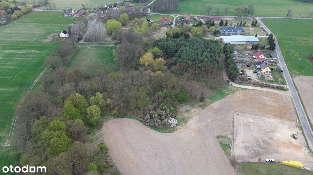Sprzedaż nieruchomości inwestycyjnej – 3,46 ha | Grzebielin Budowlana-6