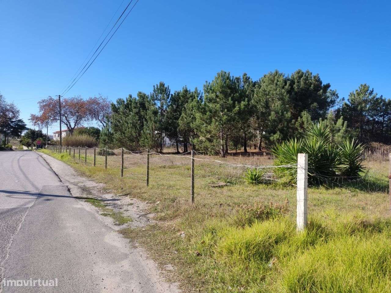 Terreno com viabilidade construção _ 905 Caldas da Rainha-6