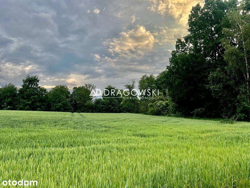 Warmia atrakcyjna działka budowlana z "WZ" + media-5