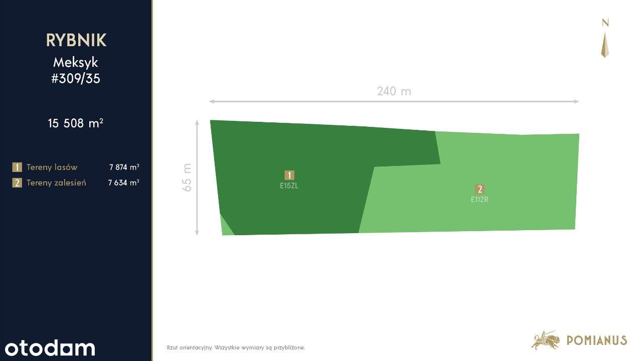 Rybnik - Malownicza działka leśna na sprzedaż-10