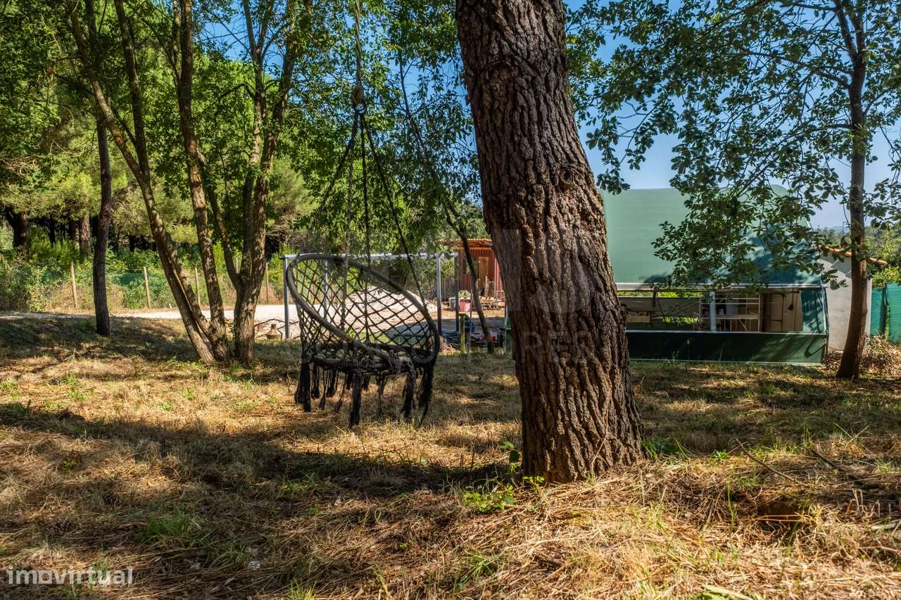 Terreno Agrícola na Fanadia | 16.100 m² de Potencial e Infraestrutu...-2