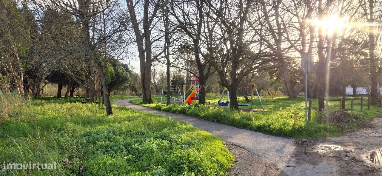 Casa Rústica em Mira, Coimbra - Oportunidade de Recuperação-30