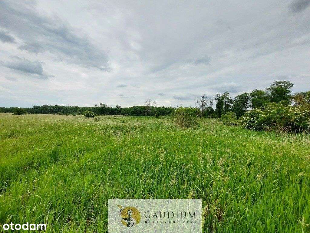 Turystyka nad brzegiem rzeki Obry-8