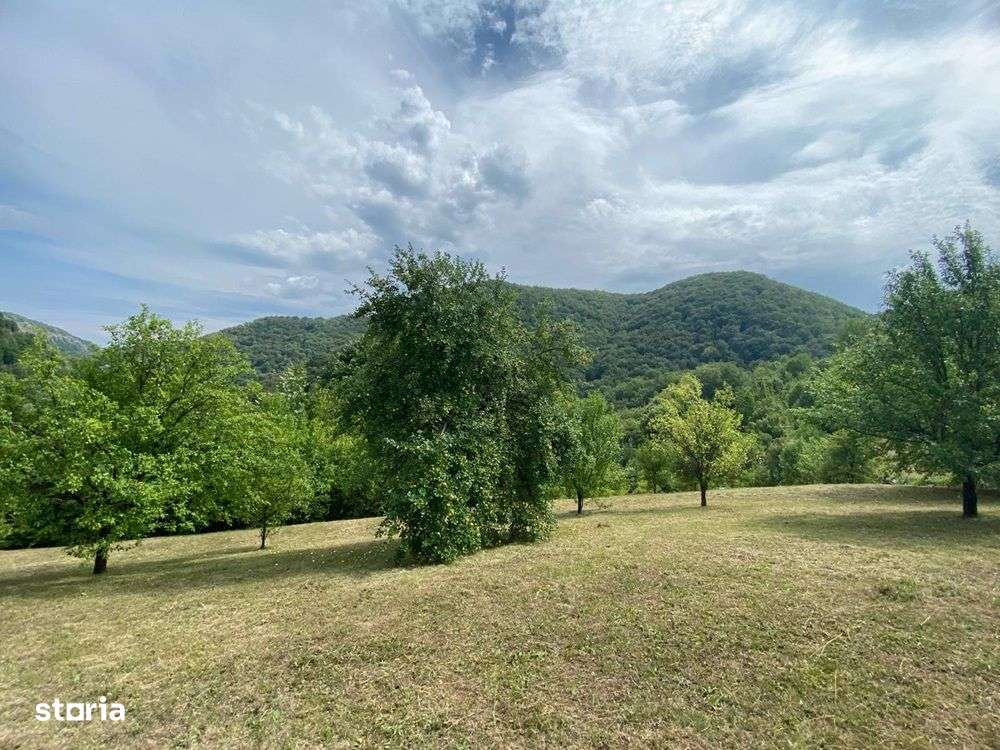 Vând teren intravilan 2662mp în Govăjdia, la 17 km de Hunedoara - Imagine principală: 3/13