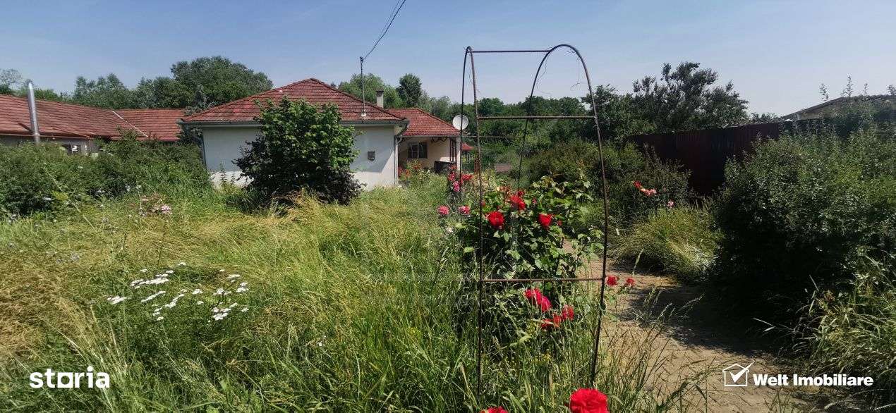 Casa individuala cu gradina frumoasa, teren mare Moldovenesti-Cluj - Imagine principală: 2/19