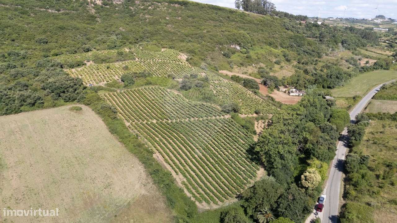 Terreno  para venda - Grande imagem: 3/19