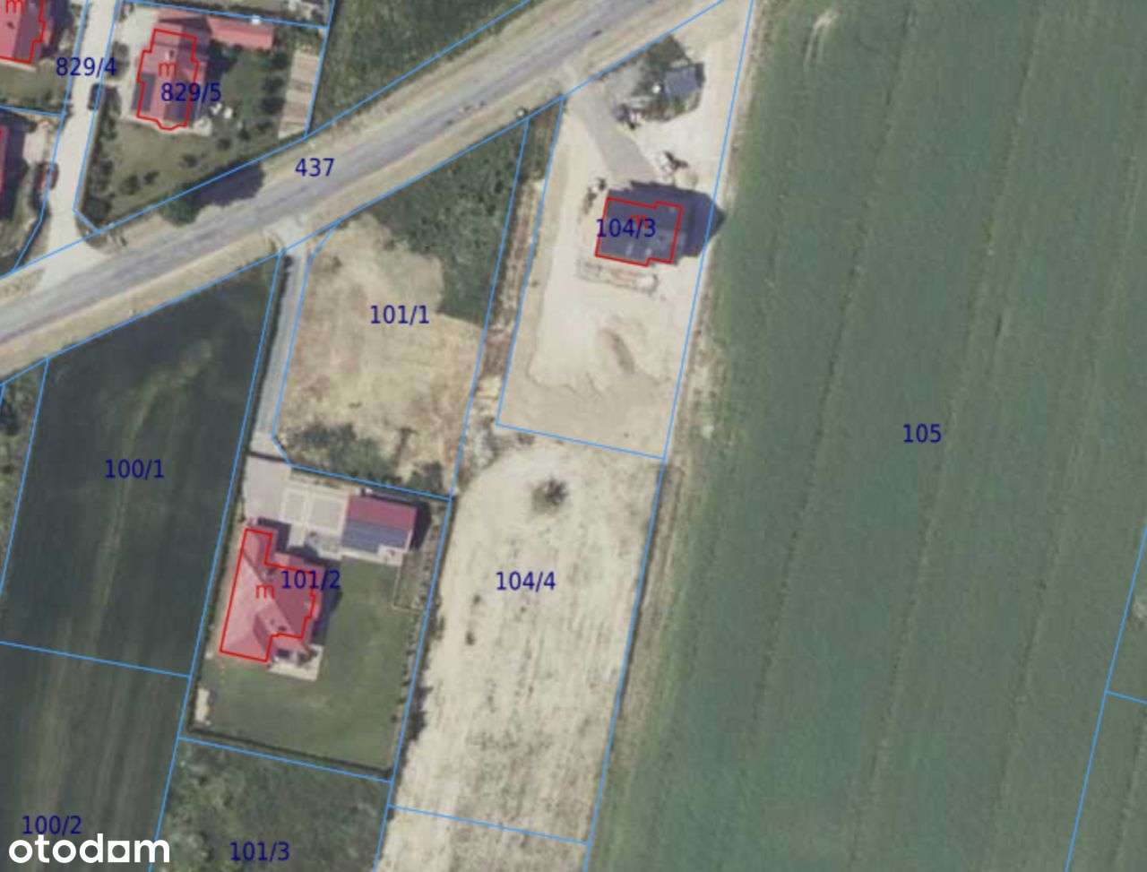 Działka budowlana Grzybiany 2460 m2 - MEDIA - Pełny obrazek: 4/5