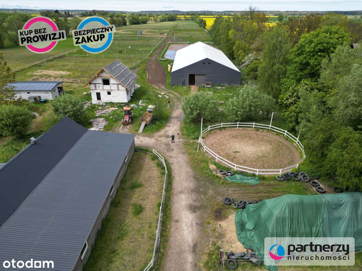 Przemysław/ Stadnina Koni/ stajnia/ siedlisko - Pełny obrazek: 5/8