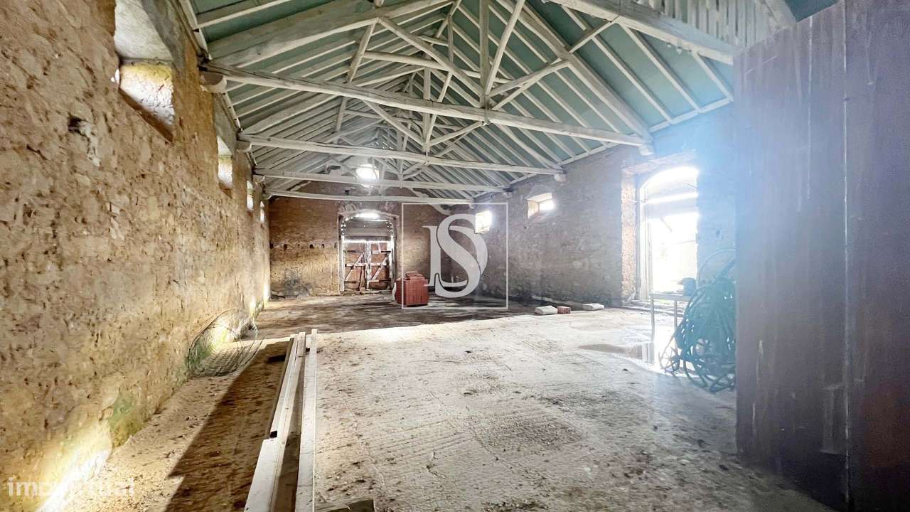 Adega com Antigo Lagar e Potencial para Turismo Rural – Localizada na - Grande imagem: 5/16