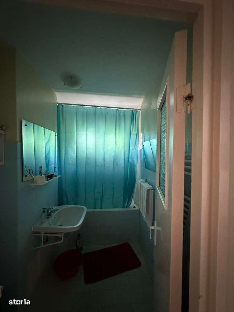 Reprezentare exclusiva apartament 2 camere Gemenii-6