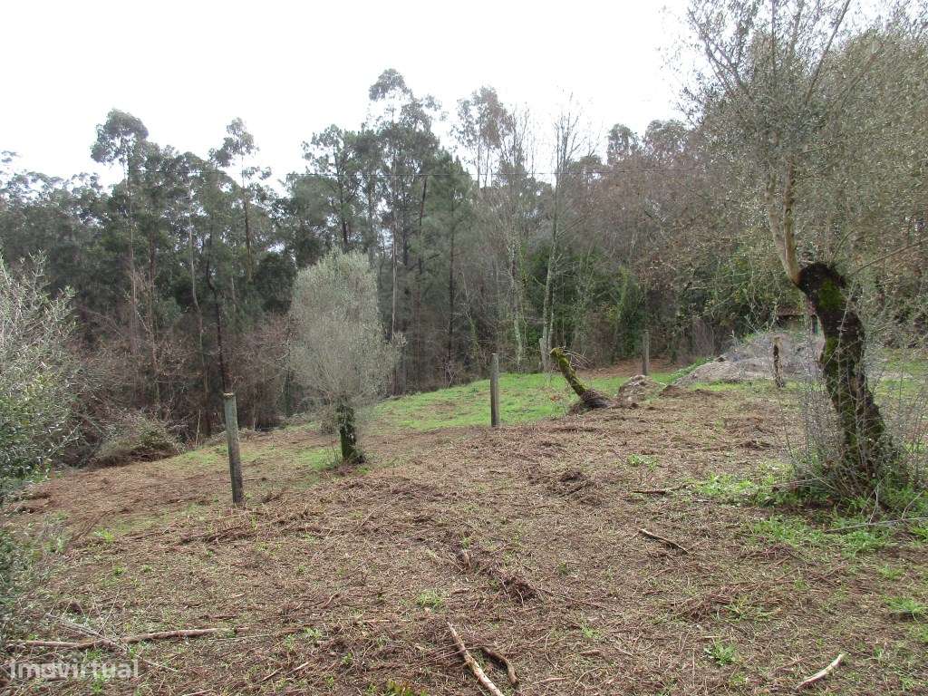 Terreno para construção, bem localizado. - Grande imagem: 5/7