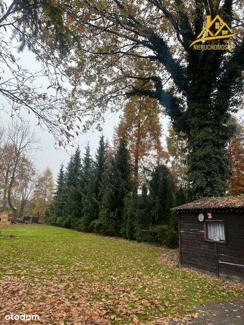 na sprzedaż dom z działką w Dąbrowie Górniczej-13