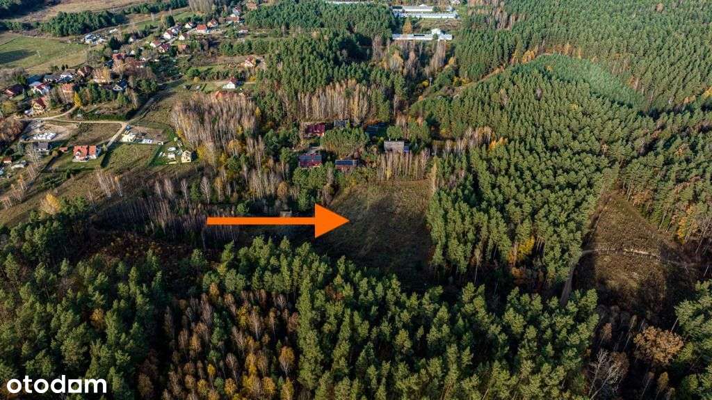 Klimatyczna duża działka blisko jeziora i lasu-5