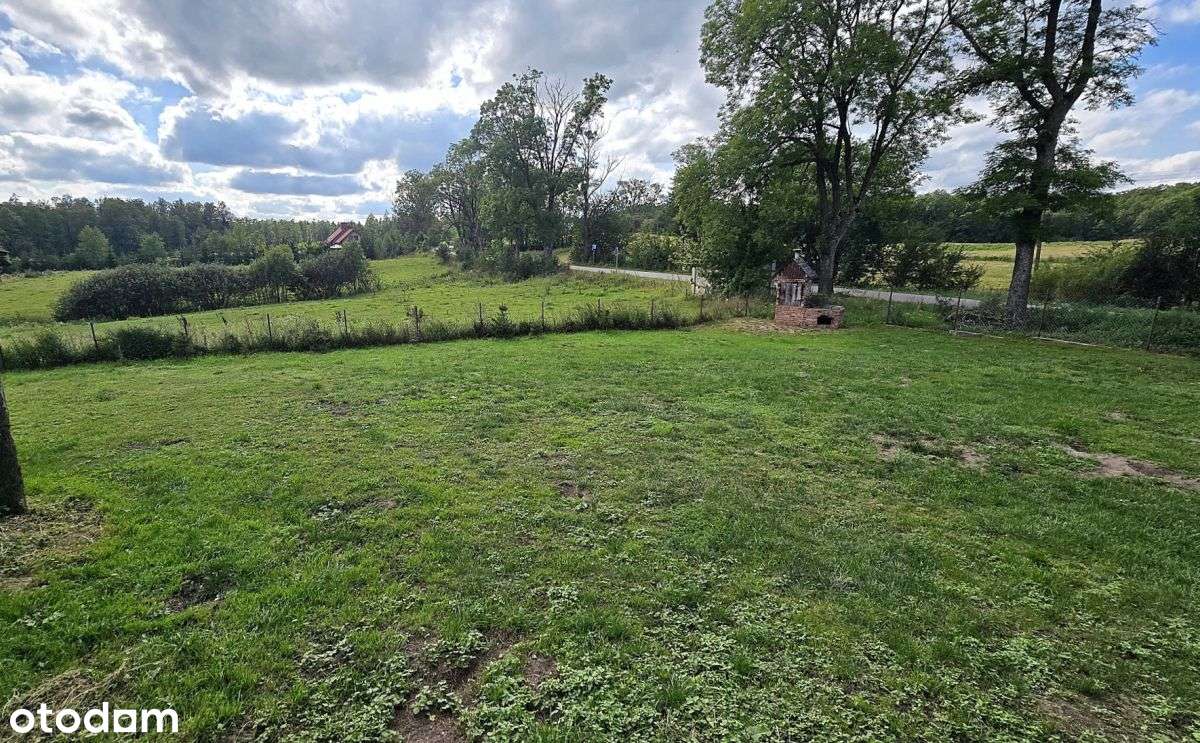 Dom z warsztatem i dużą działką !!!-14