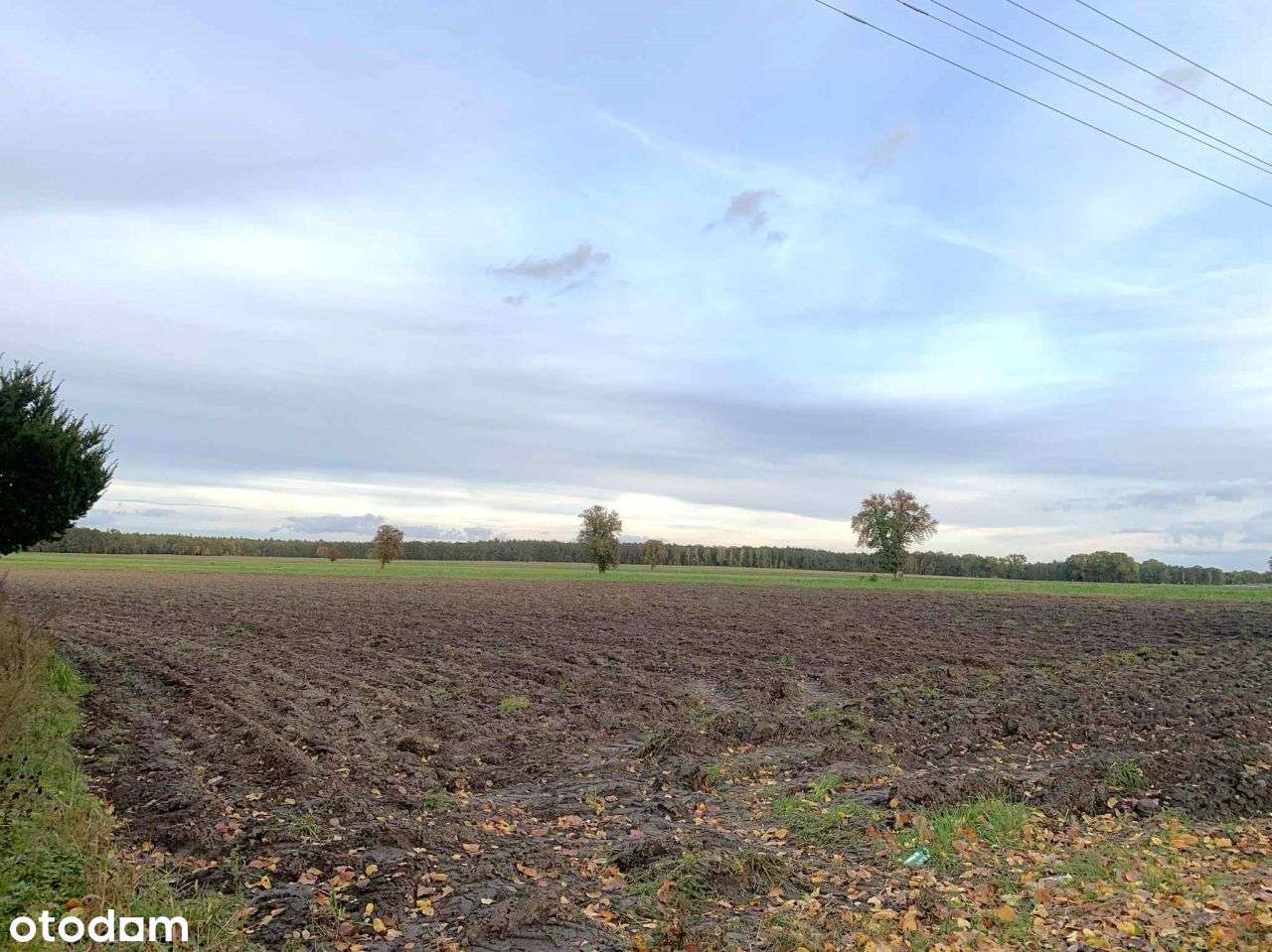 na sprzedaż siedlisko Ladorudz pow Koło-3