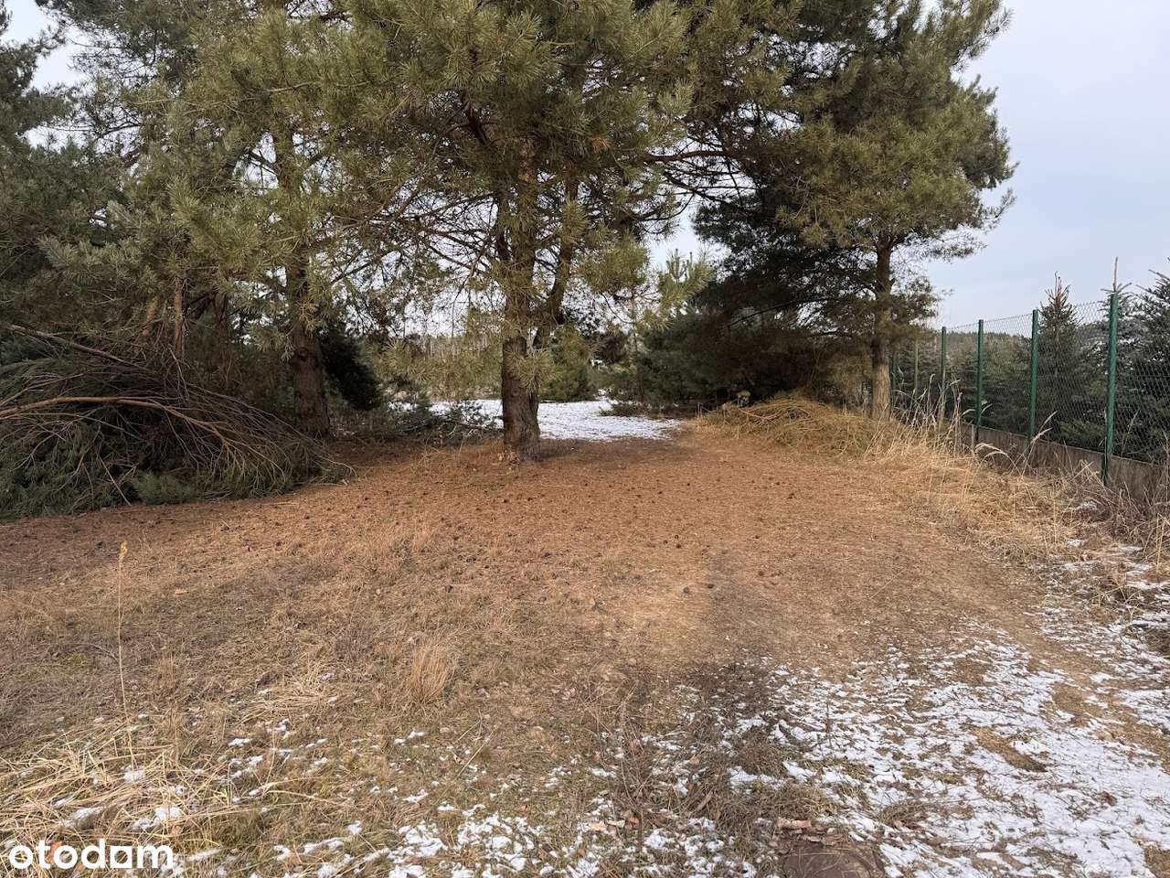 Wierzyce/Osiedle Pod Sosnami/P,W,G,K-4