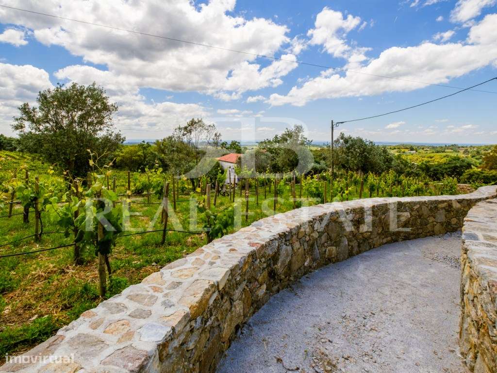 Quinta - 11 hectares com 6 casas, na Serra de São Mamede, Alentejo-43