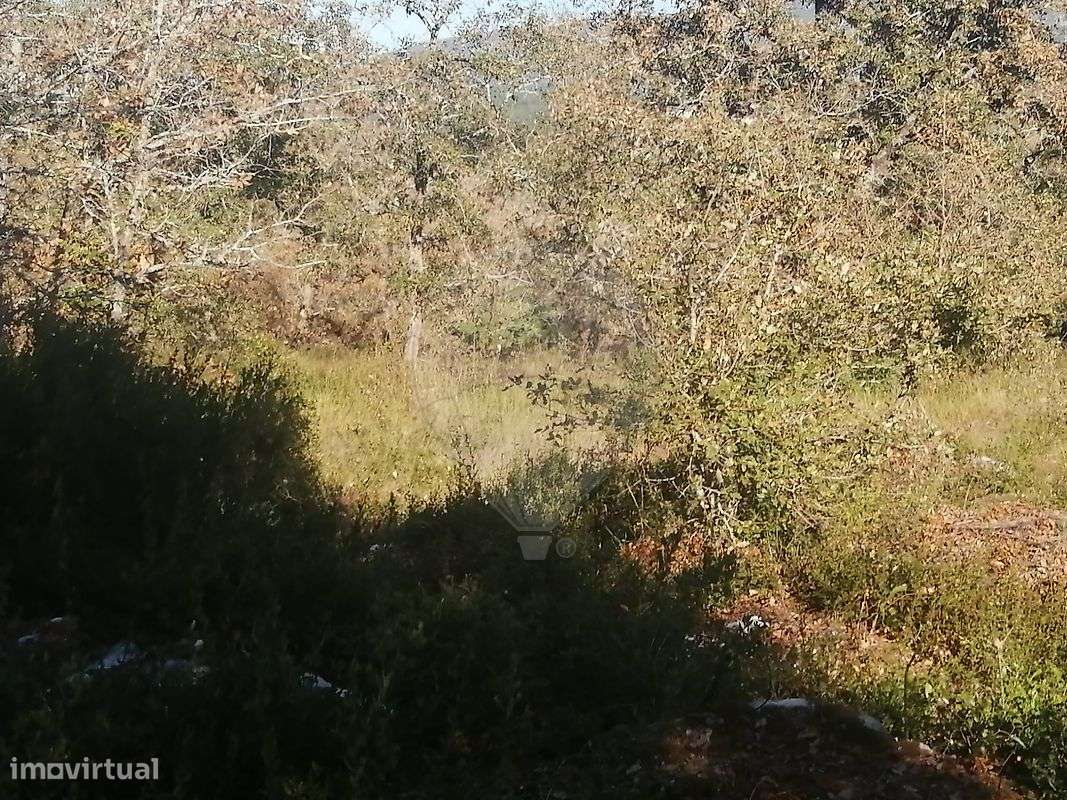 Terreno  para venda - Grande imagem: 4/7