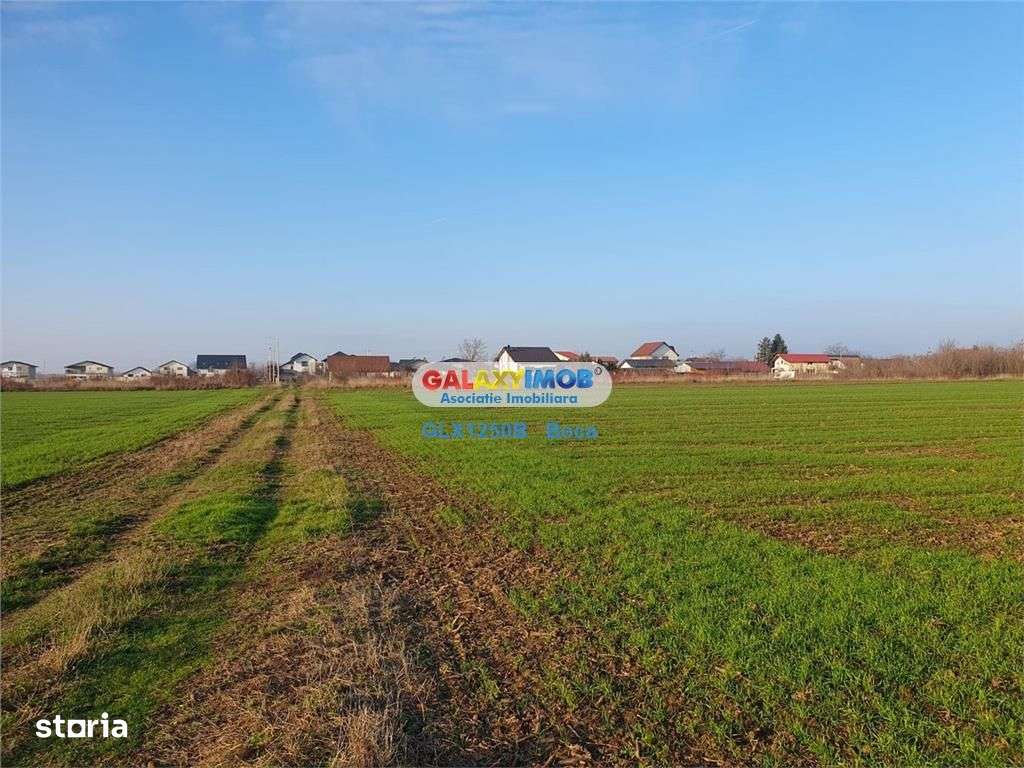 Teren intravilan Crevedia-Manastirea - Imagine principală: 4/4