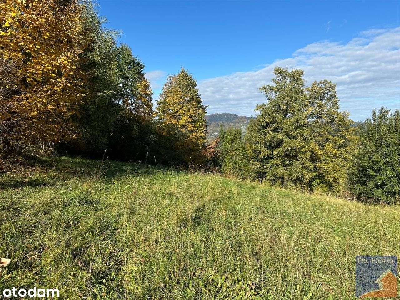 Działka, 1 244 m², Laskowa-12