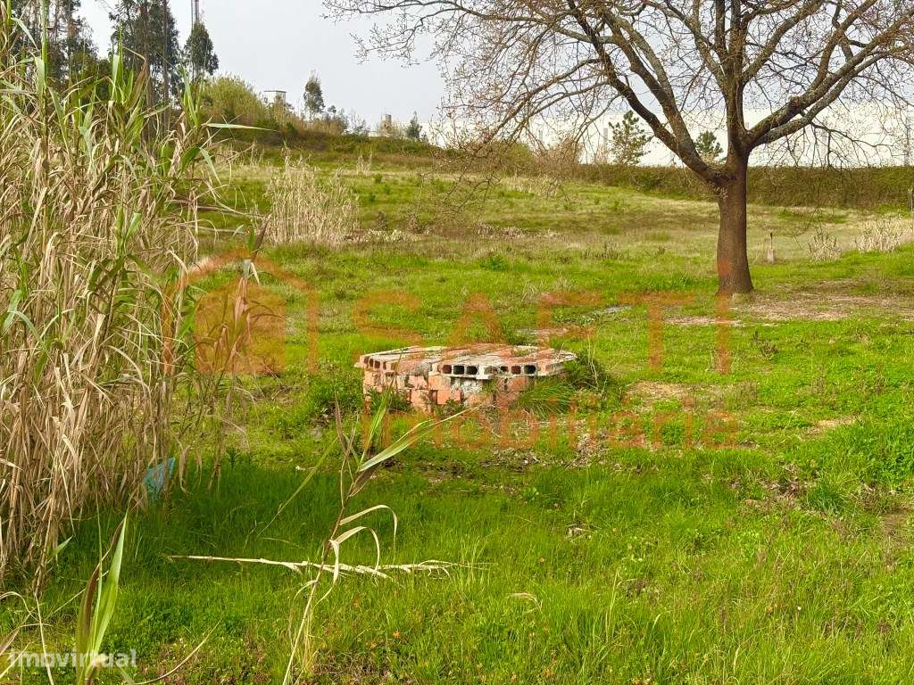 Terreno Rústico Urbanizável - Grande imagem: 5/7