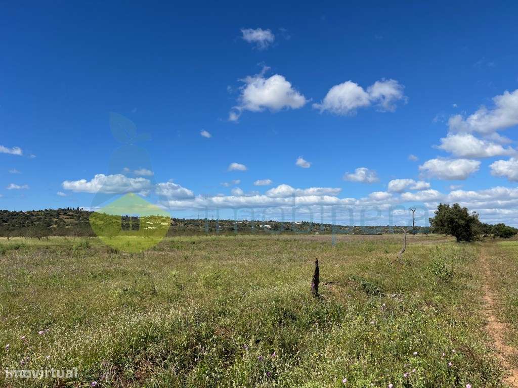 TERREO RÚSTICO PLANO NA VÁRZEA DE TUNES IDEAL PARA PAINEIS SOLARES - Grande imagem: 5/11