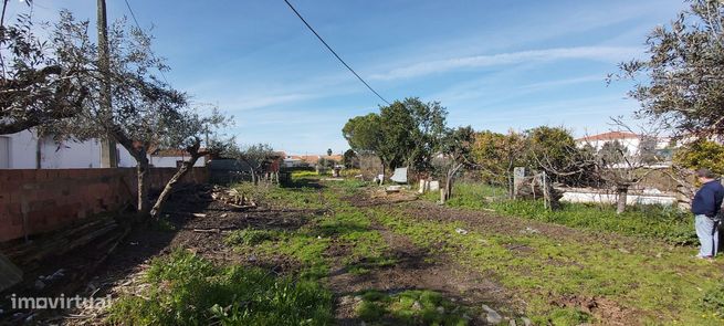 Terreno Centro da Amareleja-1