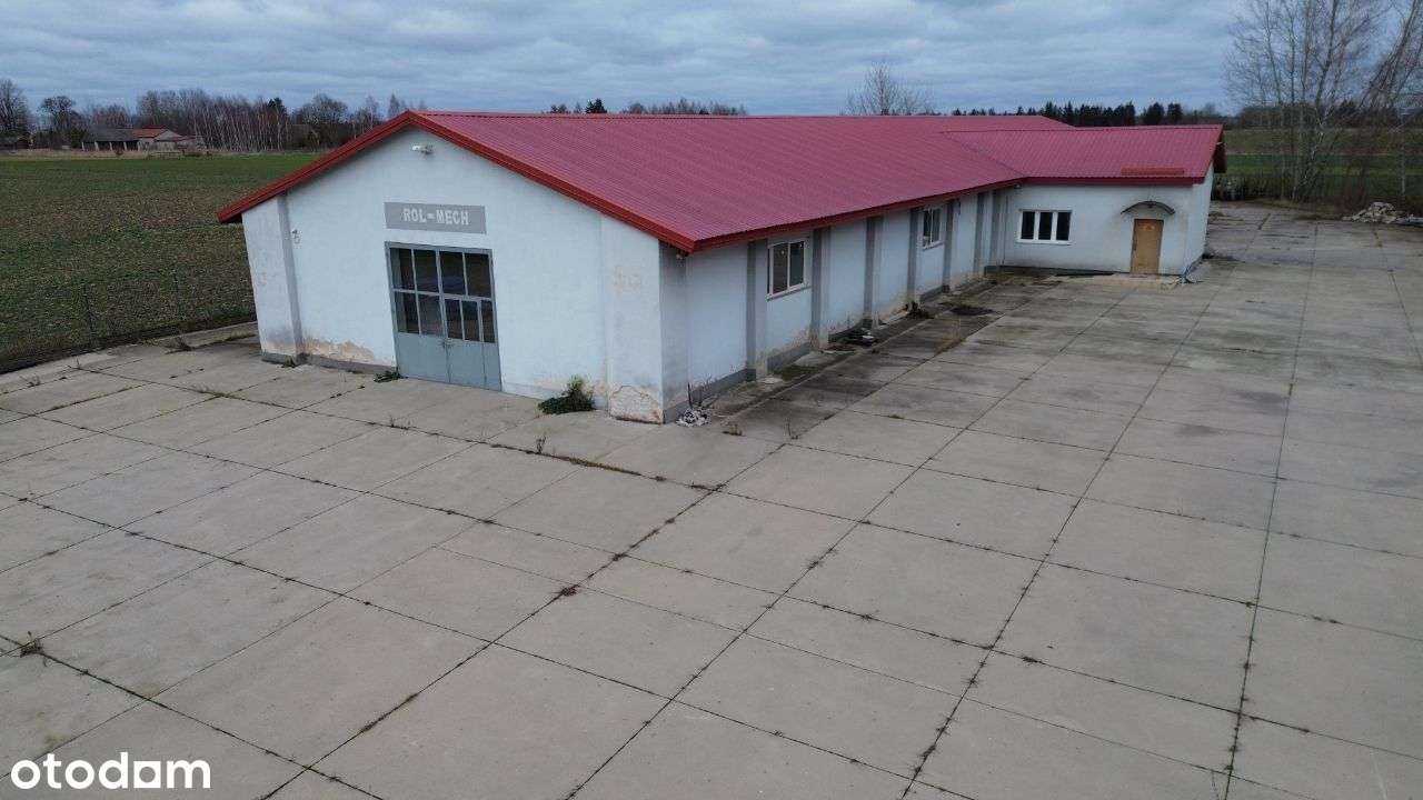 Profesjonala Hala sprzedaż/wynajem Dubicze osoczne - Pełny obrazek: 5/20