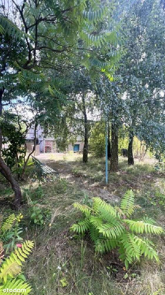 Wrzosy blisko lasu duża działka z domem do remontu-8