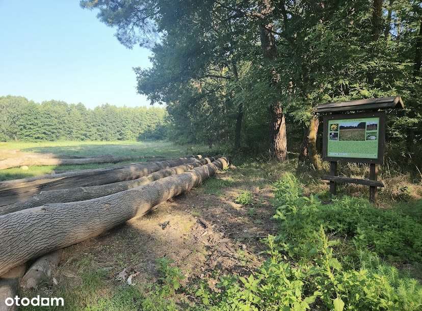 Dom przy lesie | 4 pokoje | klimatyzacja | ogrzewanie podłogowe-5