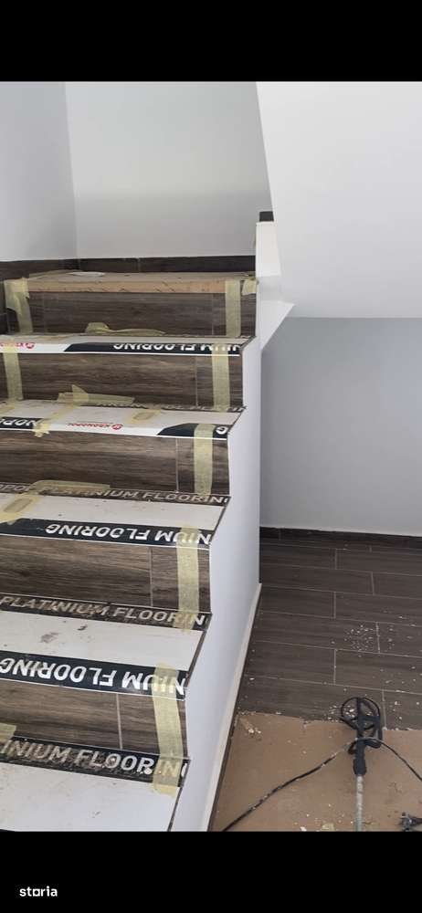 Case Parter + Mansardă de Vânzare în Cartier Ciritei  Strada Plantelor-10