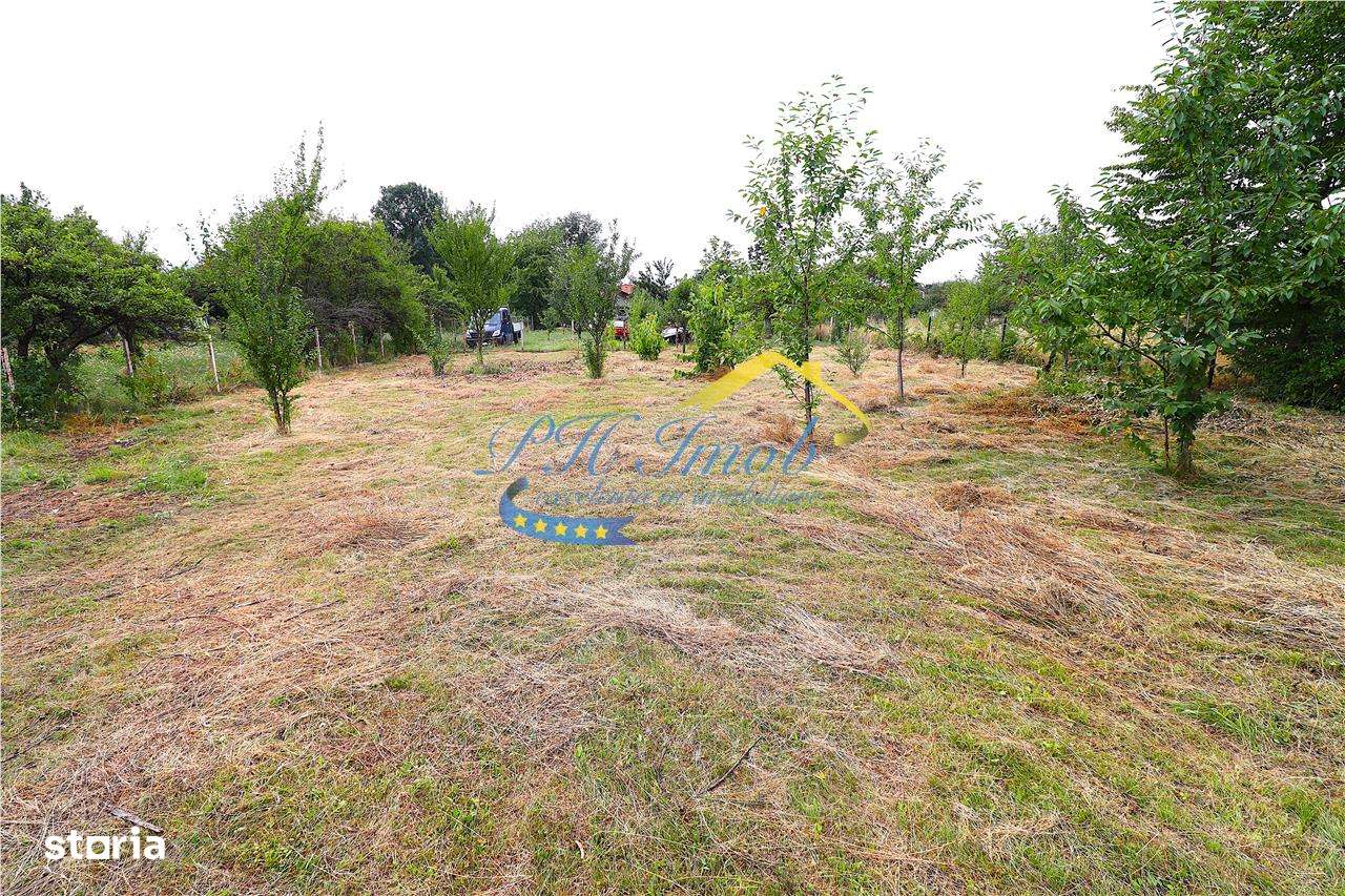 Teren Intravilan de vanzare, Campina - Imagine principală: 2/6