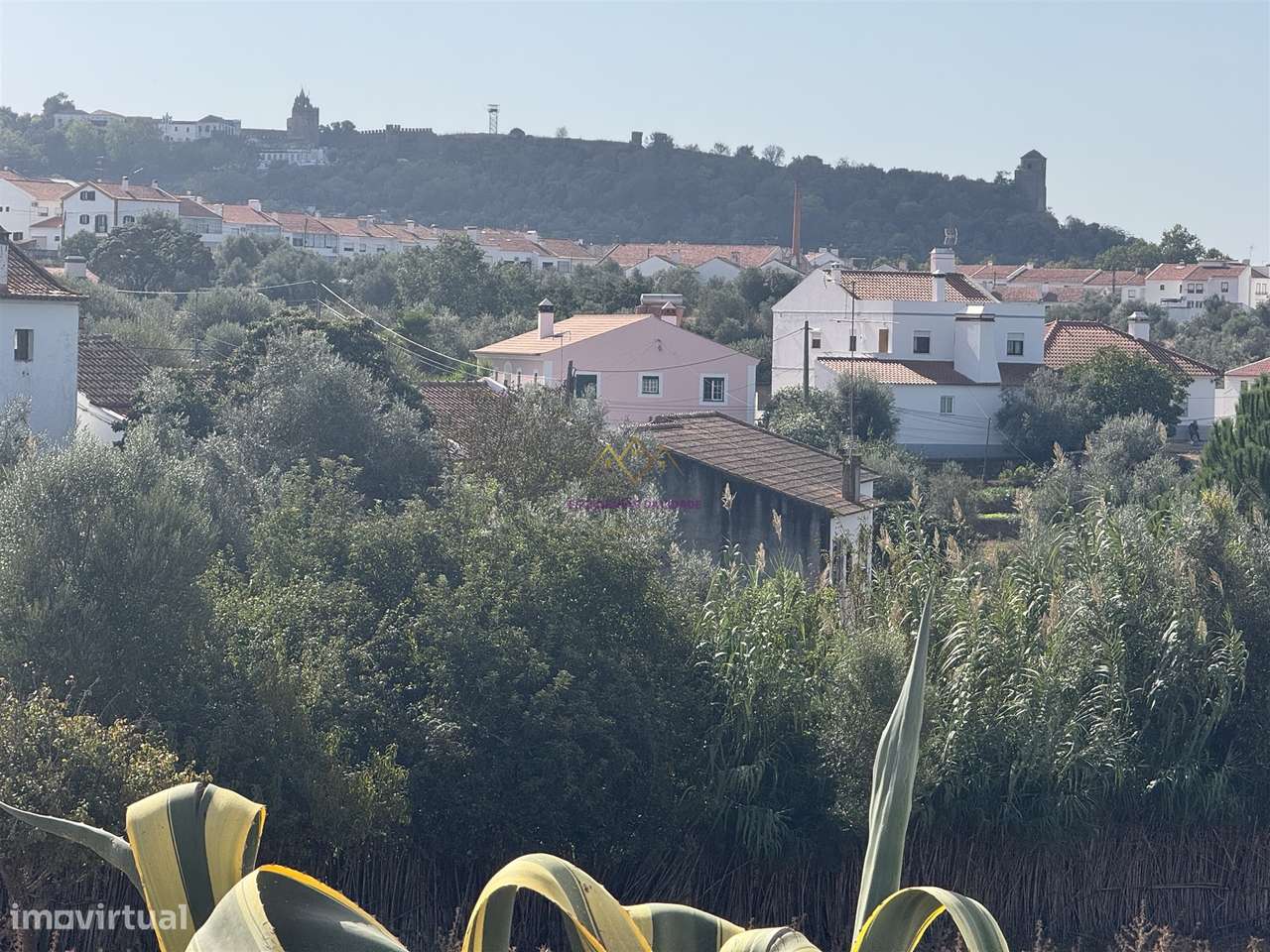 Herdade à venda em Montemor-O-Novo-3