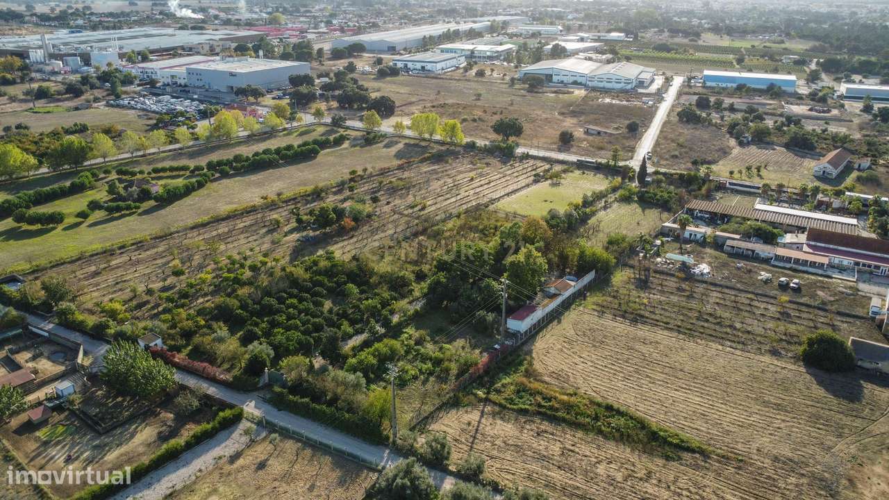 Terreno Rústico em Quinta do Anjo, Palmela - 11.800m2-15