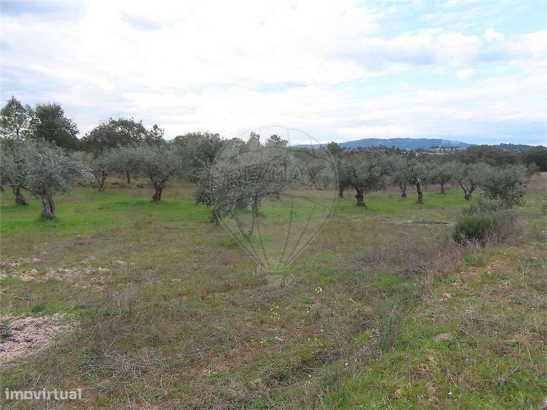 Quinta  para venda - Grande imagem: 5/50