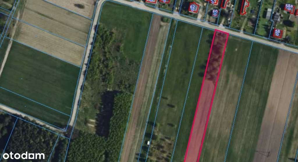 Duża działka z możliwością zabudowy - Pełny obrazek: 4/11