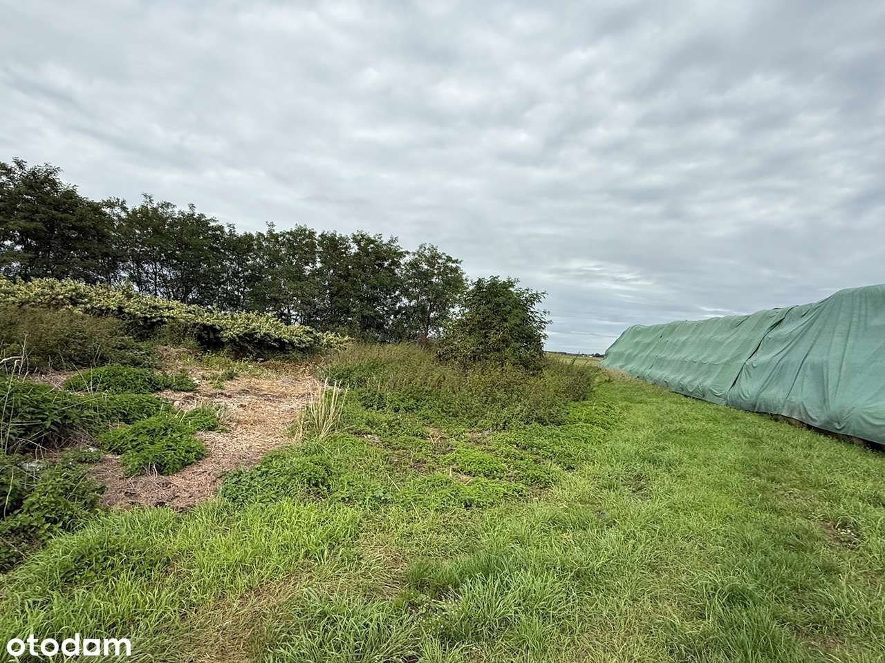 Działka w Starej Jamce-5