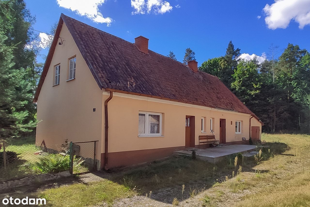 Siedlisko z możliwością rozbudowy - otoczenie lasu