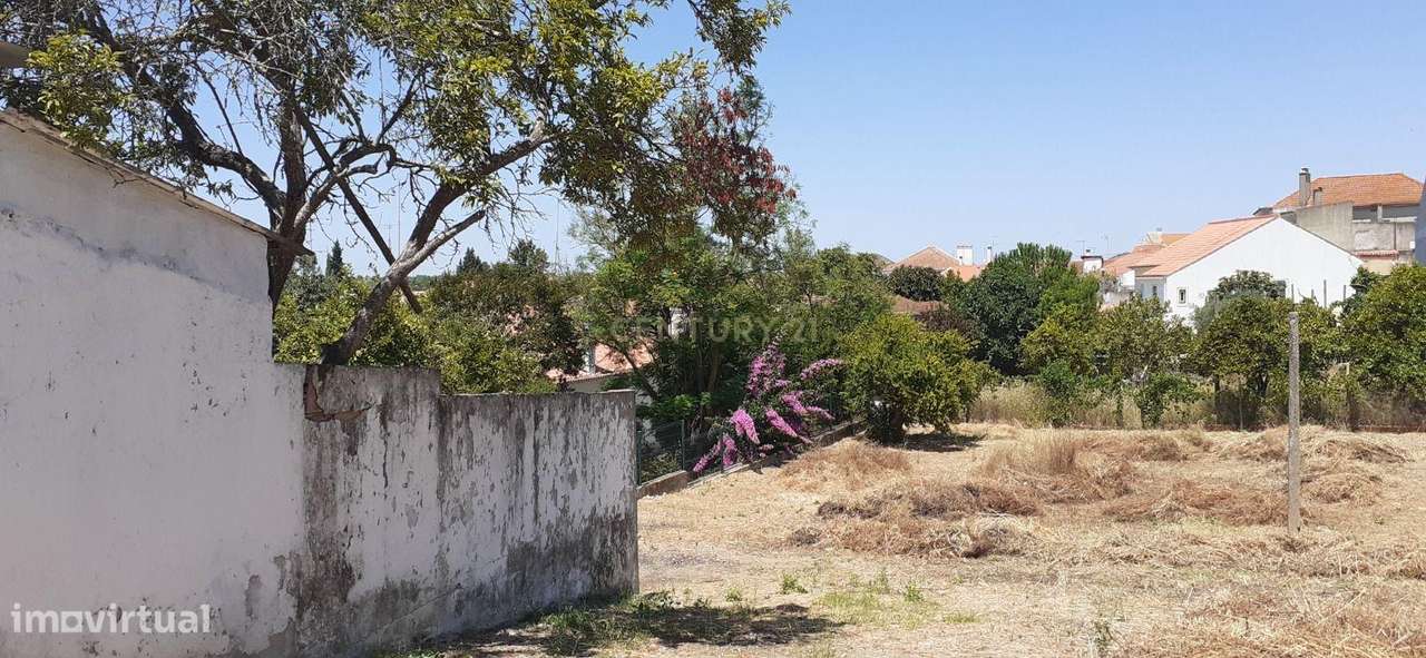 Espaço, tranquilidade e potencial com Jardim e Adega em Localização Pr - Grande imagem: 2/12