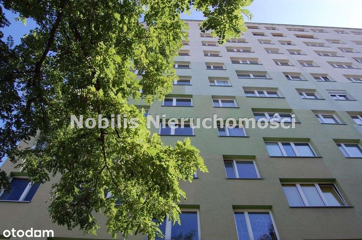 Na Spiżowej - Pełny obrazek: 1/11